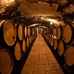 Butoaie de vin așezate pe rafturi în pivniță